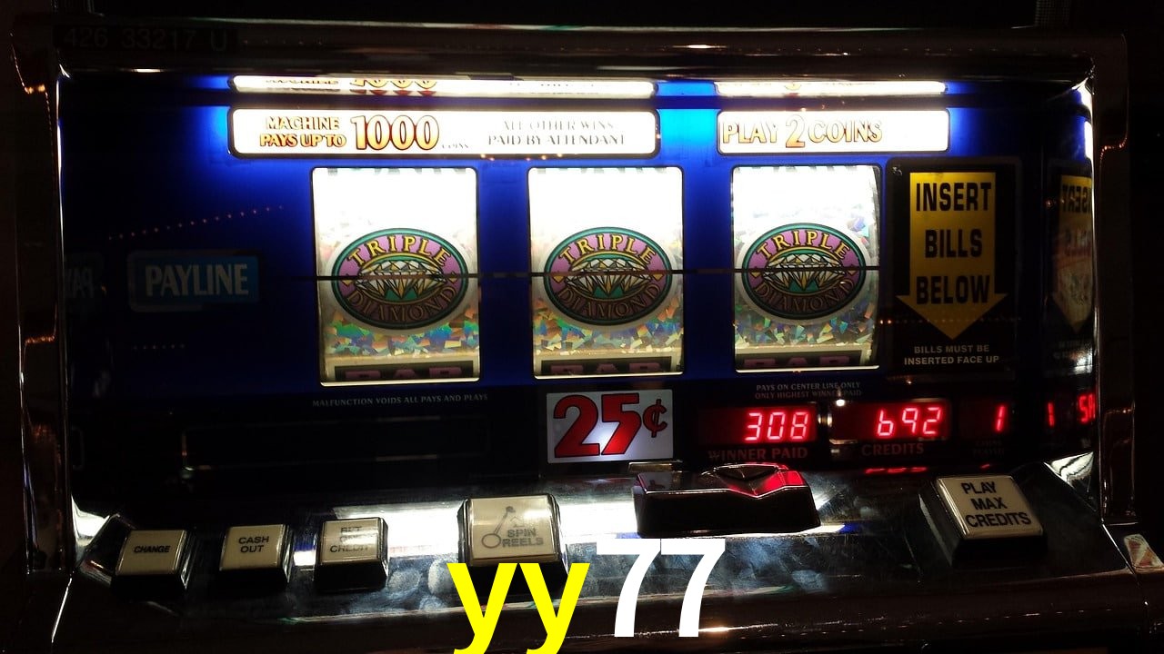 Sports Statistics yy77